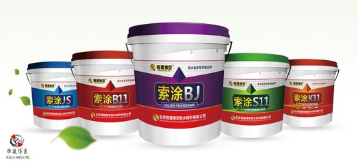 高分子防水涂料價(jià)格解析 從成本到選購(gòu)的全面指南